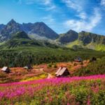 Zakopane: Private City Tour - Practical Considerations and Value