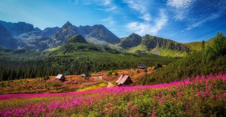 Zakopane: Private City Tour - Practical Considerations and Value