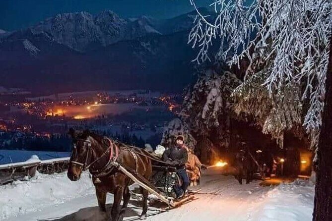 Zakopane Sleigh Ride in Tatra Mountains - Who Is This Tour Best For?