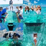 Zakynthos: Glass Boat Swimming Tour with Turtle Spotting - Who Should Consider This Tour?