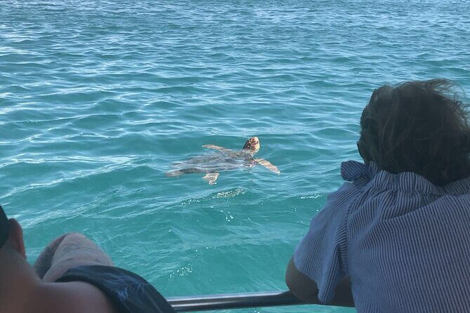 Zakynthos Half Day Tour to the Turtle Island, Cameo & Keri Caves - Cost and Value