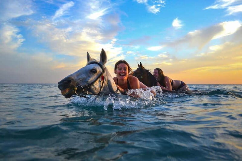 Zakynthos: Yotomu Horse Riding and Swimming Experience - The Different Tour Options and Their Value