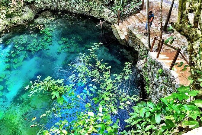 Zapote Cenotes Adventure Tour Prehistoric Park - The Ziplining Experience: A Highlight