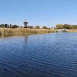 Zasavica Safari Tour - Deep Dive into the Itinerary