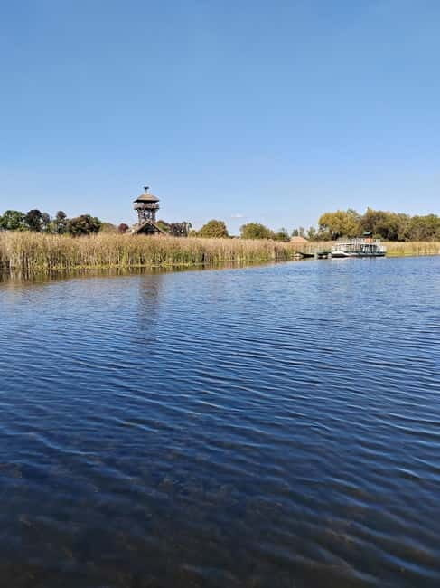 Zasavica Safari Tour - Deep Dive into the Itinerary