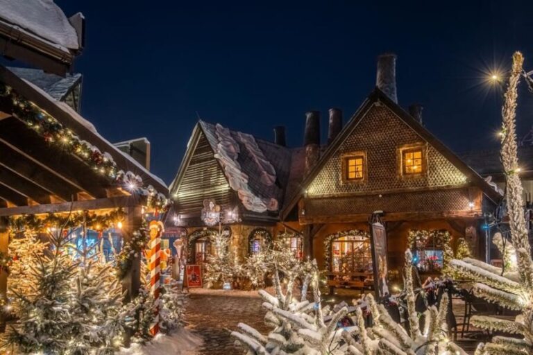 Zator: Energylandia Amusement Park Entry Ticket - Who Is This Tour Best For?