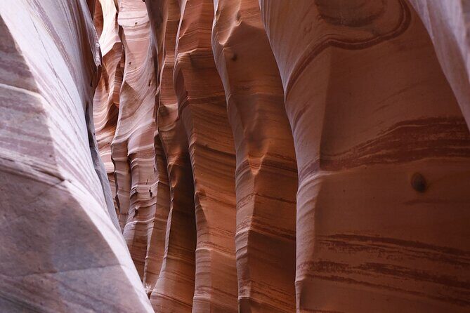 Zebra Slot Canyon Hiking Tour in Escalante - Who Will Love This Tour?