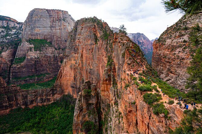 Zion Full Day Small Group Tour with Narrows - What Travelers Say