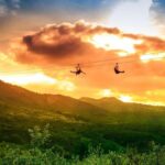 Zip Zoom Ziplines at La Jolla Indian Adventure Park - An Inside Look at the Experience