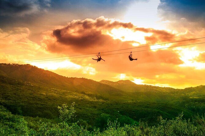 Zip Zoom Ziplines at La Jolla Indian Adventure Park - An Inside Look at the Experience