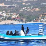 Zodiac Whale Watching Adventure - Incl FREE photos - The Itinerary in Detail