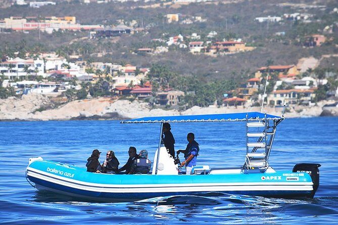 Zodiac Whale Watching Adventure - Incl FREE photos - The Itinerary in Detail