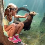 Zoo Miami Ticket with Optional Upgrade - Who Should Consider Visiting?
