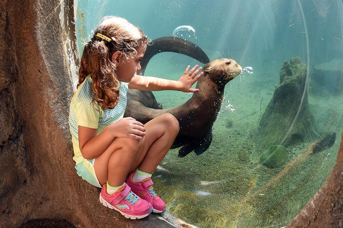 Zoo Miami Ticket with Optional Upgrade - Who Should Consider Visiting?