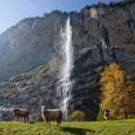 Zurich: Day Trip to Grindelwald, Interlaken & Lauterbrunnen - Transportation and Group Dynamics