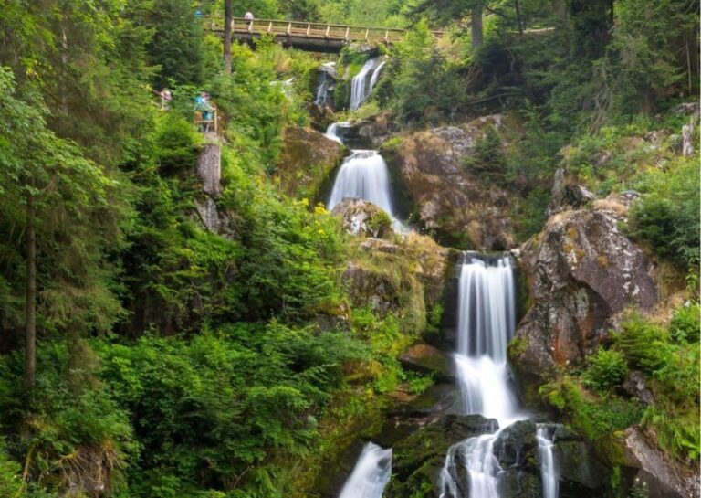 Zürich:Private Car Tour- Rhine Falls, Titisee & Black Forest - What’s Included and What’s Not