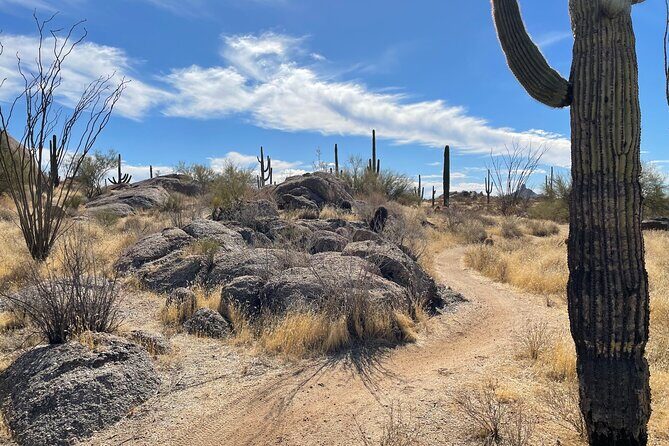 1-2 Hour Sonoran Desert Private Guided Hiking Tour - The Itinerary in Detail
