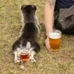 1.5-Hour Beer and Puppies Guided Experience in Fairbanks - The Experience Details and What Makes It Special