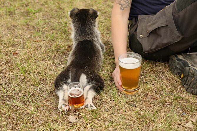 1.5-Hour Beer and Puppies Guided Experience in Fairbanks - The Experience Details and What Makes It Special