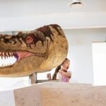 1 Day of Dinosaurs and Hoodoos From Calgary to the Drumheller - The Value of the Tour