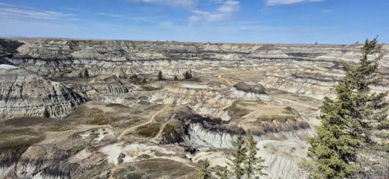 1 Day of Drumheller Dinosaurs and Badlands Guided Tour - The Details That Matter