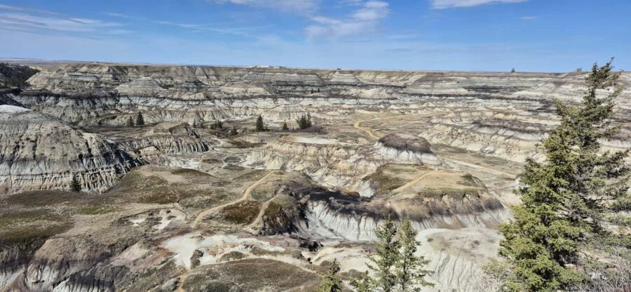 1 Day of Drumheller Dinosaurs and Badlands Guided Tour - The Details That Matter