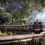 1 day Puffing Billy Steam Train and Wildlife Tour from Melbourne - The Real Experience: What Travelers Say
