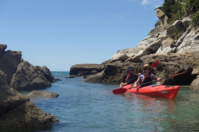 1 Day Sea Kayak Rental - Insights from Travelers’ Feedback