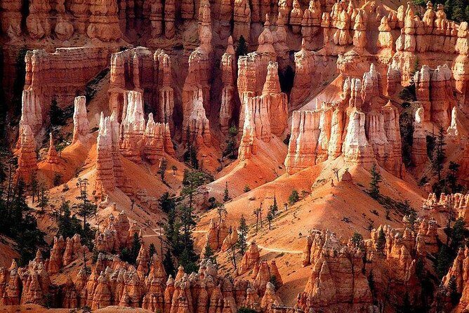1-Day Zion & Bryce Canyon National Park Bus Tour - What to Expect from the Tour