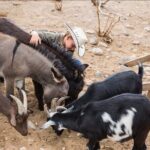 1-Hour ATV Ride near the Grand Canyon's West Rim - Who Will Love This Tour?
