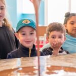 1 Hour Chocolate Bar Class in Jacksonville - The Practicalities