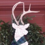 1 Hour Christmastide Walking Tour in Virginia Past and Present - Authentic Feedback from Travelers