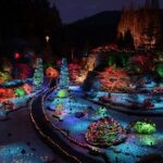 1 hour City Tour & Butchart Gardens: Christmas - Entry included! - Why This Tour Works Well
