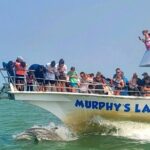 1 Hour Dolphin Dash - Practical Details and Considerations