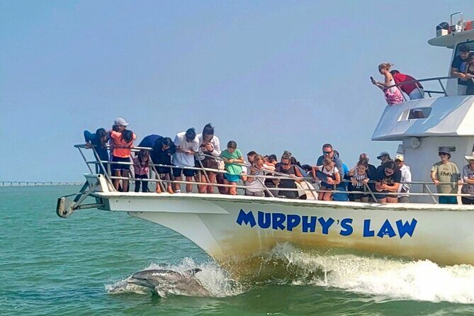 1 Hour Dolphin Dash - Practical Details and Considerations