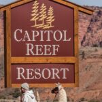 1-Hour Llama Hike Family Friendly and Fun - Final Thoughts