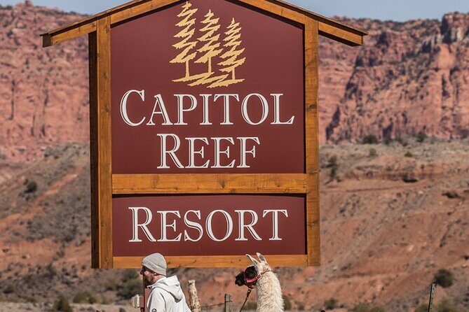 1-Hour Llama Hike Family Friendly and Fun - Final Thoughts