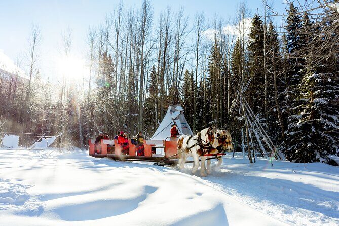 1 Hour Shared Winter Sleigh Ride Experience in Kananaskis - Practical Details and Logistics