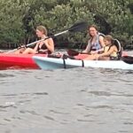 1-Hour Single Kayak Rental with Manatee & Dolphin sightings - The Pros and Cons: What to Keep in Mind