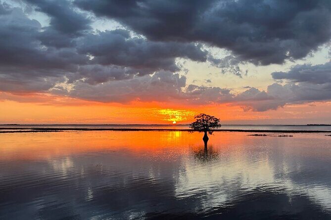 1-Hour Sunset Airboat Ride near Orlando - The Itinerary in Detail