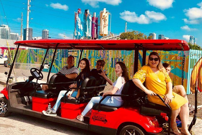 1 Hour WYNWOOD BUGGIES tour - The Experience of a Small Group Tour