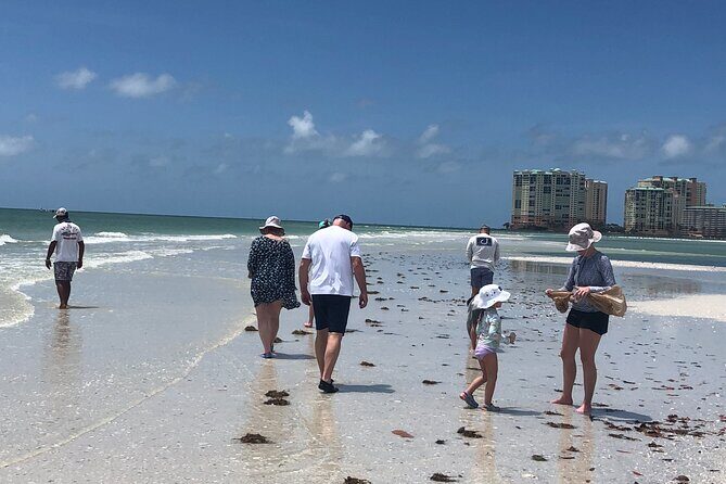 10,000 Islands Excursion Small-Group 3.5 hour Dolphin & Shelling Boat Tour - Who Will Love This Tour?