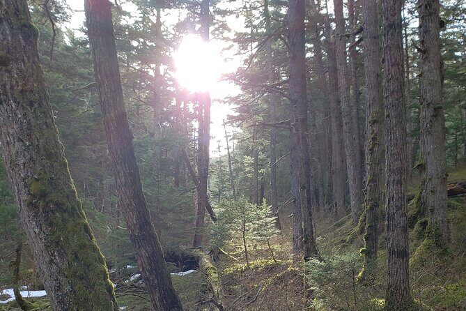 11 Day Grand Alaska Highlights Tour - Off the Beaten Path at Maclaren River