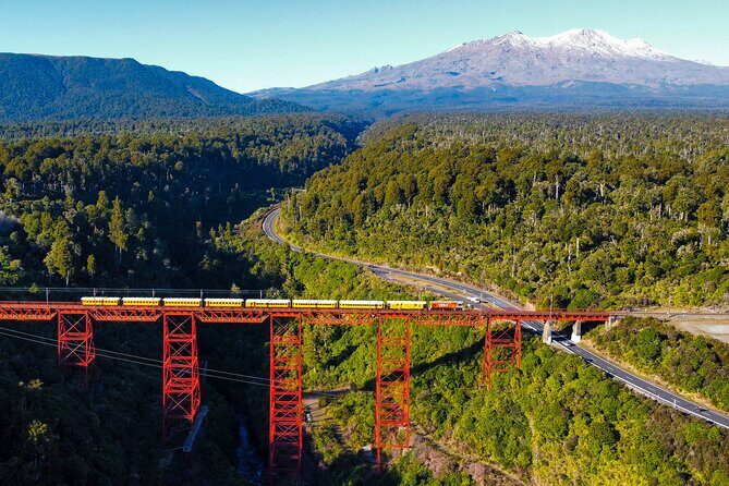 11 Day Shared Rail Tour of NZ North Island - Exploring the Itinerary in Detail