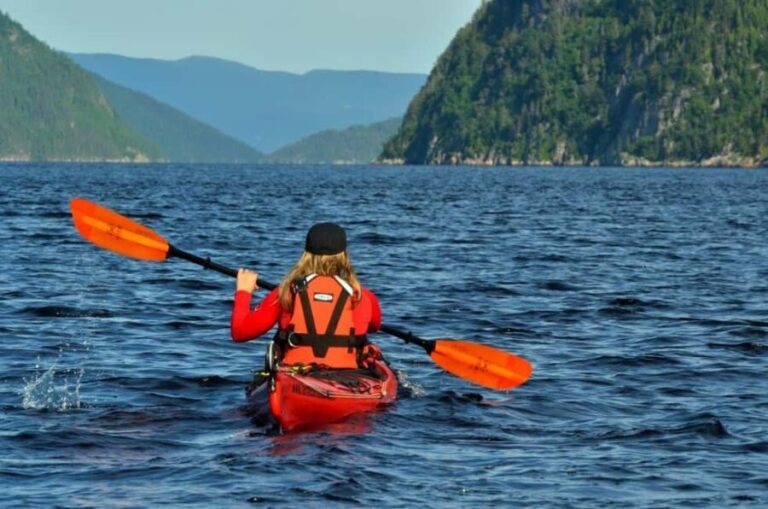 15 min Tadoussac: Guided Sea Kayaking Adventure - What to Expect on the Tour