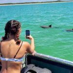 2.5 Hour Shell Key Island Adventure Including Dolphins And Shells - The Itinerary and What to Expect