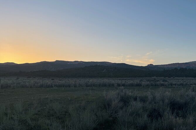 2.5hr Willis Creek/Sunset Tour Paria Valley - How Does It Value Up?