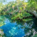 2 Cenotes Private Tour  VIP Adventure with Expert Guide - Potential Drawbacks and Considerations