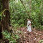 2 Day Lacandon Jungle, the Lost City and Bonampak Ruins - Transportation and Group Dynamics