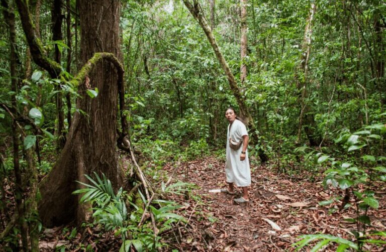 2 Day Lacandon Jungle, the Lost City and Bonampak Ruins - Transportation and Group Dynamics